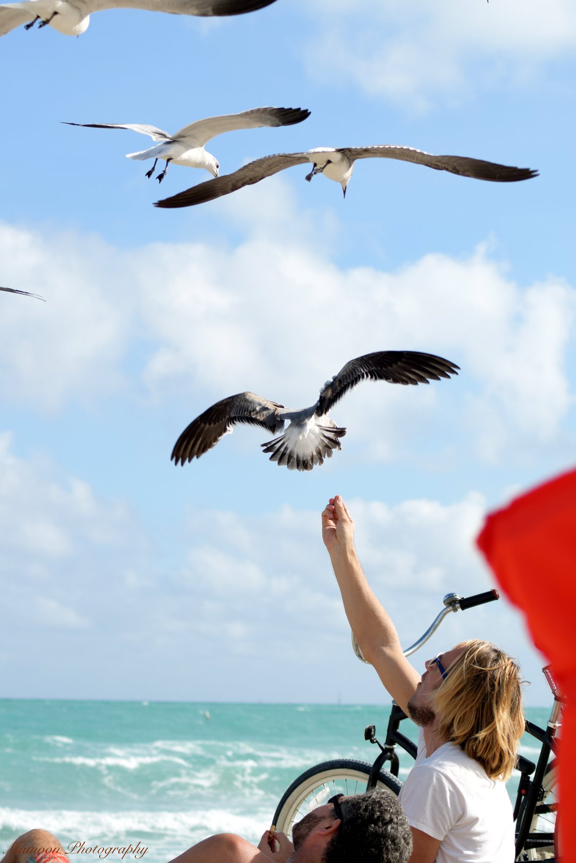 Sunset in the mountains